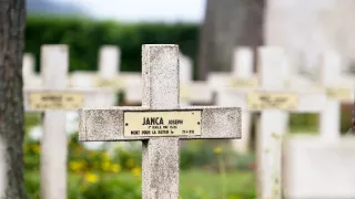 Raport o Velké válce