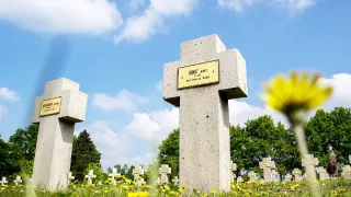 Raport o Velké válce