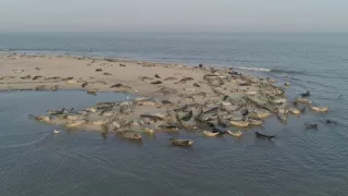 Příroda Nizozemska