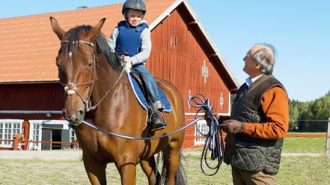 Inga Lindström: Rozhodující léto