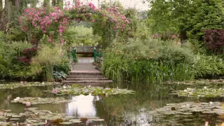 Claude Monet: Světlo okamžiku