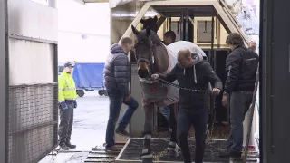 Nákladné kolosy v oblakoch