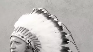 Stingl - Malý veľký Okima