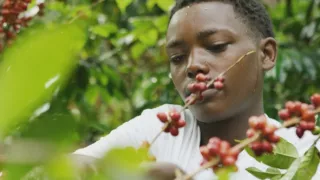 Čaj, káva, čokoláda