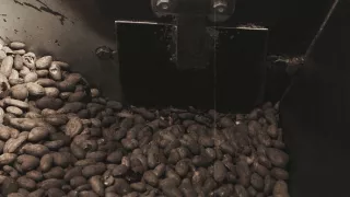 Čaj, káva, čokoláda