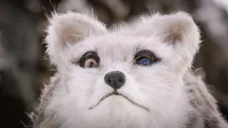 Zázračná planéta: Špióni v prírode (4/4)