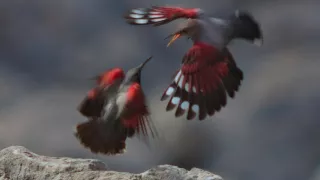 Divoké Španielsko (1/2)