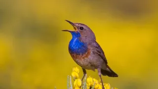 Divoké Španielsko (1/2)