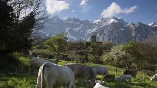 Divoké Španielsko (1/2)