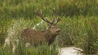 Divoké Španielsko (1/2)