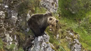 Divoké Španielsko (1/2)