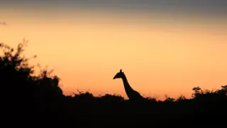 Rok na planetě Zemi (1/6)