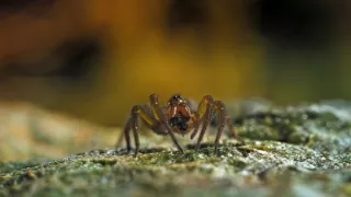 Divoká Škandinávia (3/3)