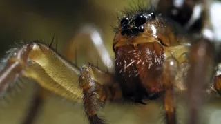 Divoká Škandinávia (3/3)