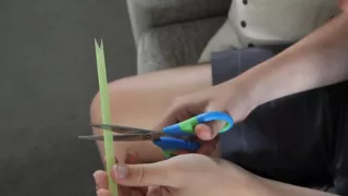 Tyjo! To je paráda!