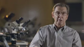 Továrne na nevedomosť