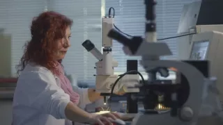 Továrne na nevedomosť