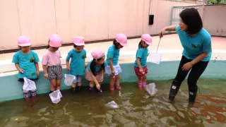 Království divočiny: Příroda v Tokiu - jaro