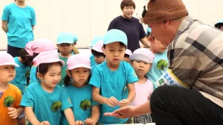 Království divočiny: Příroda v Tokiu - jaro