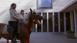 Emoce v umění (23/24)