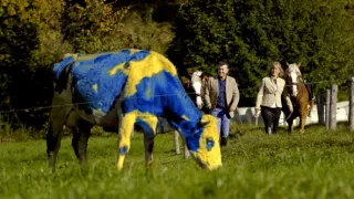 Emoce v umění (23/24)