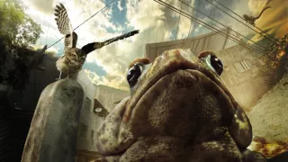 Skryté kráľovstvá prírody (1)