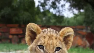 Karsten a Petra na safari