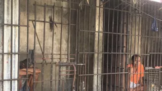 Za mrežami: Najkrutejšie väznice sveta II (3)