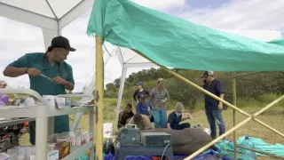 Záťah na Escobarove hrochy