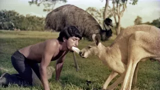 Záťah na Escobarove hrochy