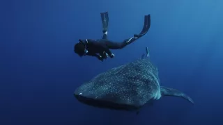 Pod hladinu za mořskými legendami (2/2)