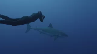 Pod hladinu za mořskými legendami (2/2)