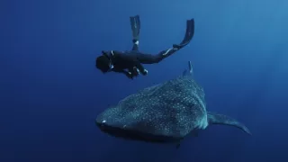 Pod hladinu za mořskými legendami (2/2)