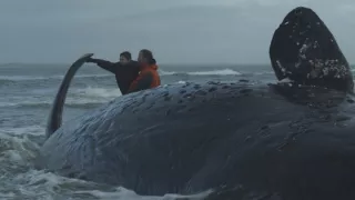 Pod hladinu za mořskými legendami (2/2)