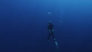 Pod hladinu za mořskými legendami (2/2)