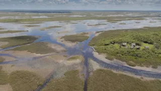 Florida - ohrozený raj zvierat