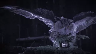 Tajomstvá noci a spánku (1/2)