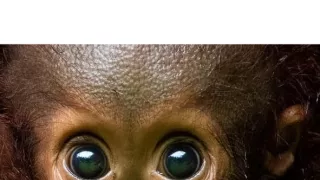 Zázračná planéta: Posledné raje na Zemi - Patagónia