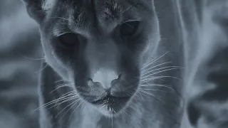 Zázračná planéta: Posledné raje na Zemi - Patagónia