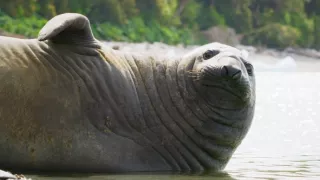 Zázračná planéta: Posledné raje na Zemi - Patagónia