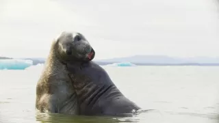 Zázračná planéta: Posledné raje na Zemi - Patagónia