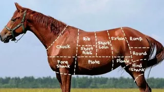 Podvody s potravinami - organizovaný zločin?