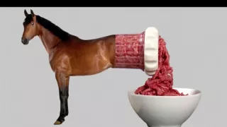 Podvody s potravinami - organizovaný zločin?