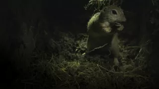 Sysel Puko a jeho rodina