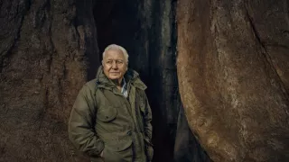 Zázračná planéta: Zelená planéta (3/5)