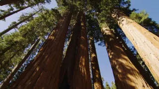 Zázračná planéta: Zelená planéta (3/5)