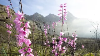 Zázračná planéta: Zelená planéta (3/5)