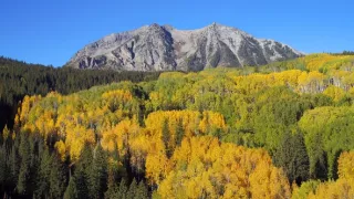 Zázračná planéta: Zelená planéta (3/5)