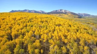 Zázračná planéta: Zelená planéta (3/5)