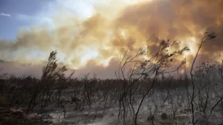 Zázračná planéta: Zelená planéta (3/5)